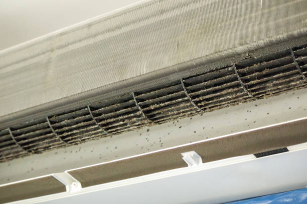Best Air Duct Inspection  in Vcennes, IN